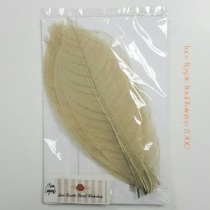 Skeleton Leaves packs - 4 options (Un pack contient 20 morceaux de feuilles de squelette)
