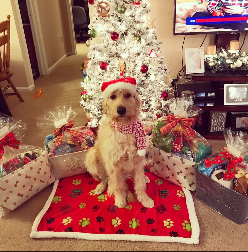 Custom Dog/Cat Gift Baskets for Any and All Occasions Etsy