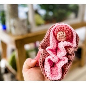 May include: A crocheted flower in shades of pink and brown. The flower has a ruffled edge and a small, round center.