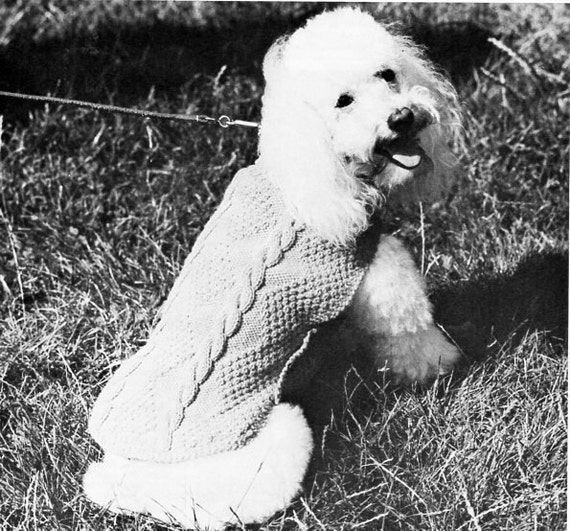 dog sweater knitting pattern pdf download poodle coat medium dog coat dog jumper cable 13.5 inch