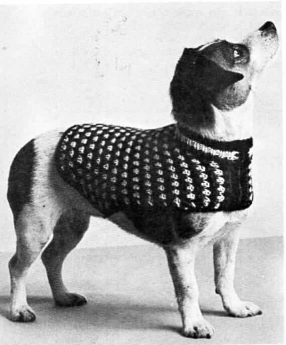 dog sweater knitting pattern pdf download poodle coat medium dog coat dog jumper cable 13.5 inch