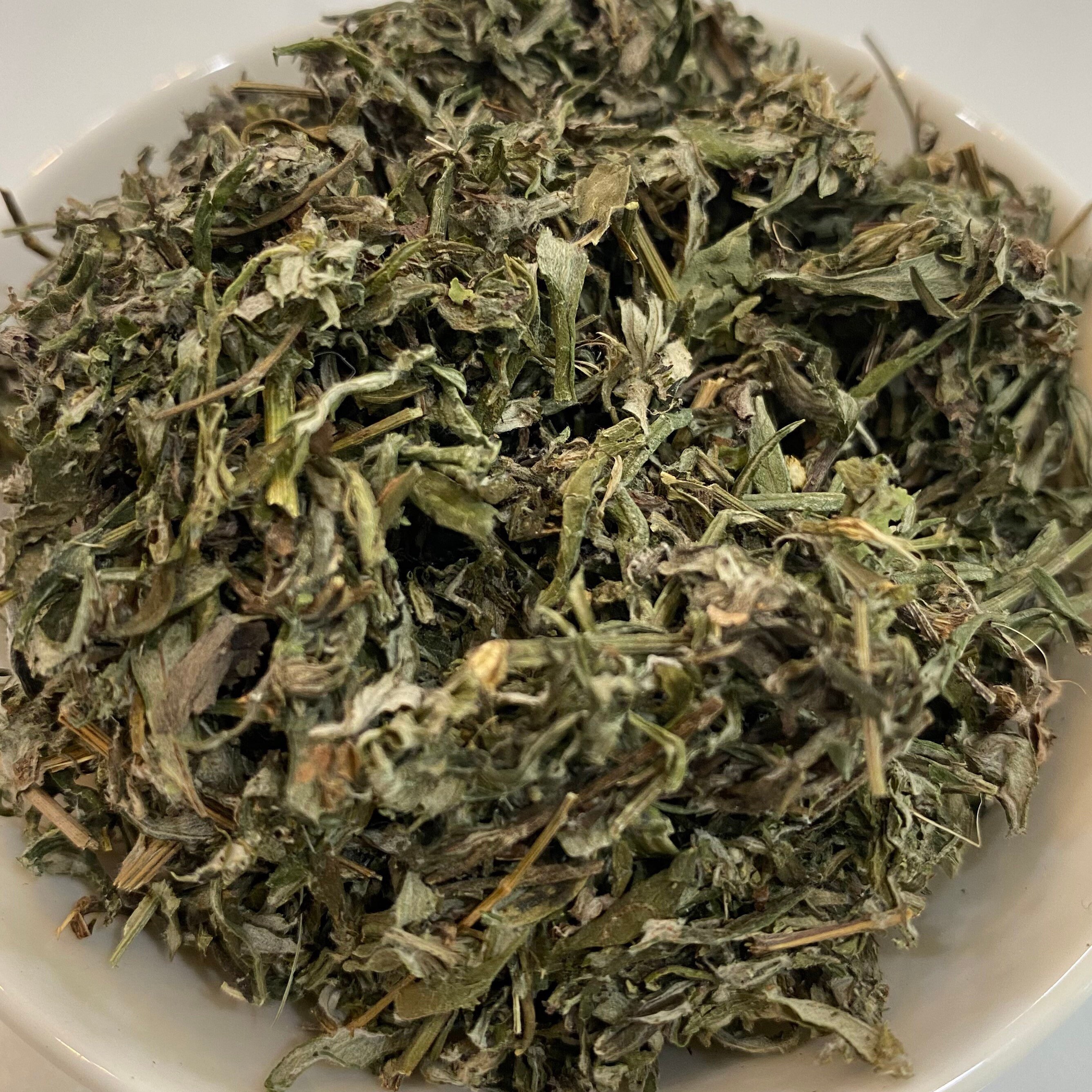 Organic Dried Wormwood Wormwood Tea Leaves Cooking Leaves Etsy