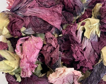 Organic Dried Violet Flowers, Edible Violet Flowers, DIY Dried Violet Flowers, WoodWell® Etsy Shop