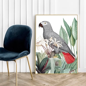 Poster di uccello pappagallo grigio