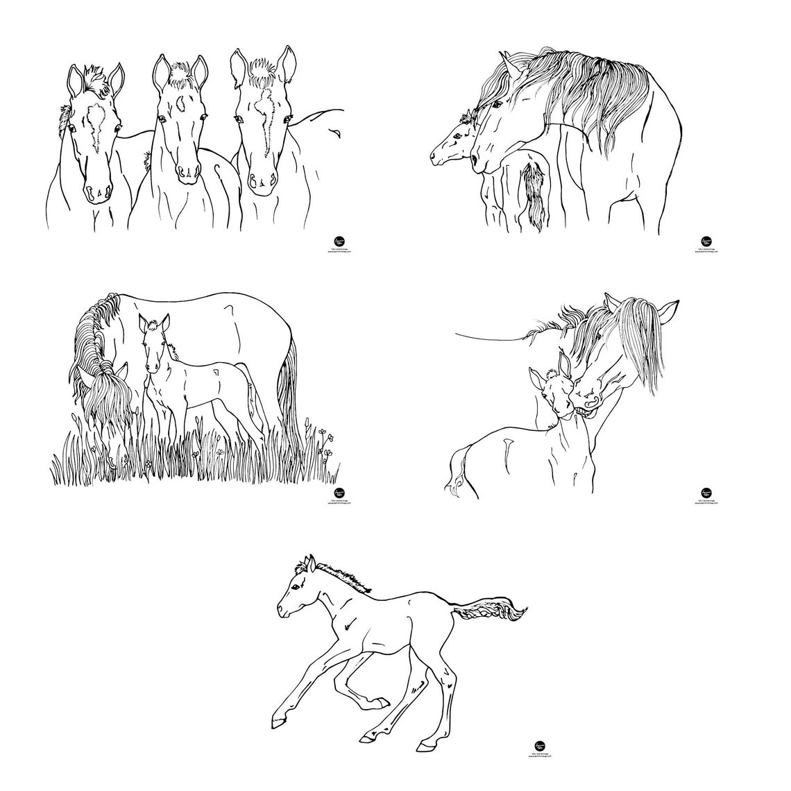 5-piece Printable Set of Equine Coloring Pages - Etsy
