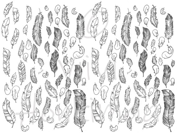 feather sticker black and white printable etsy india