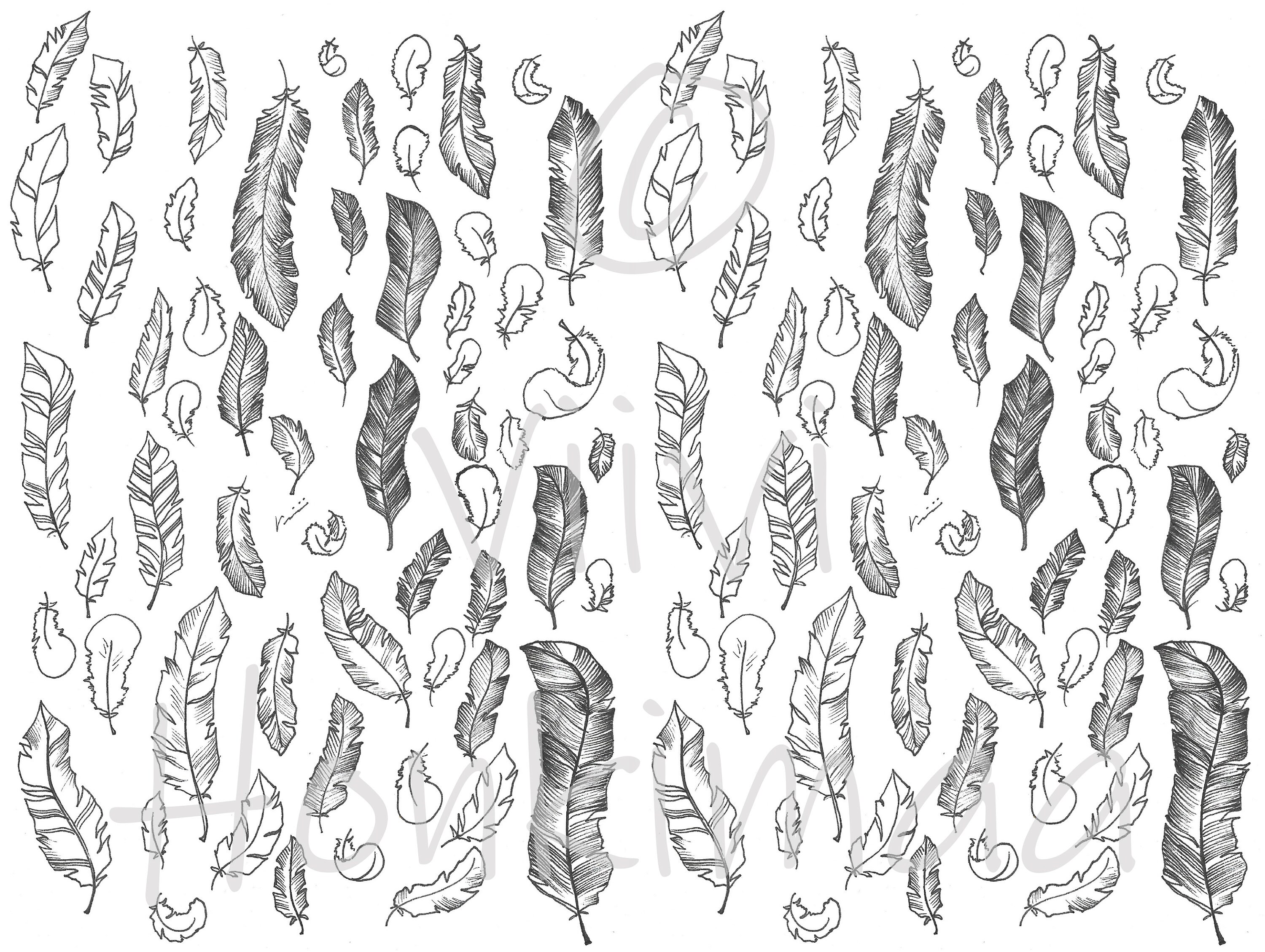 Feather Sticker Black and White Printable - Etsy