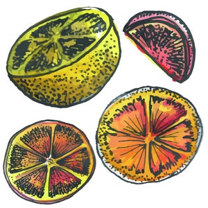 Printable citrus sticker sheet for planner, bujo, bullet journal, decorative