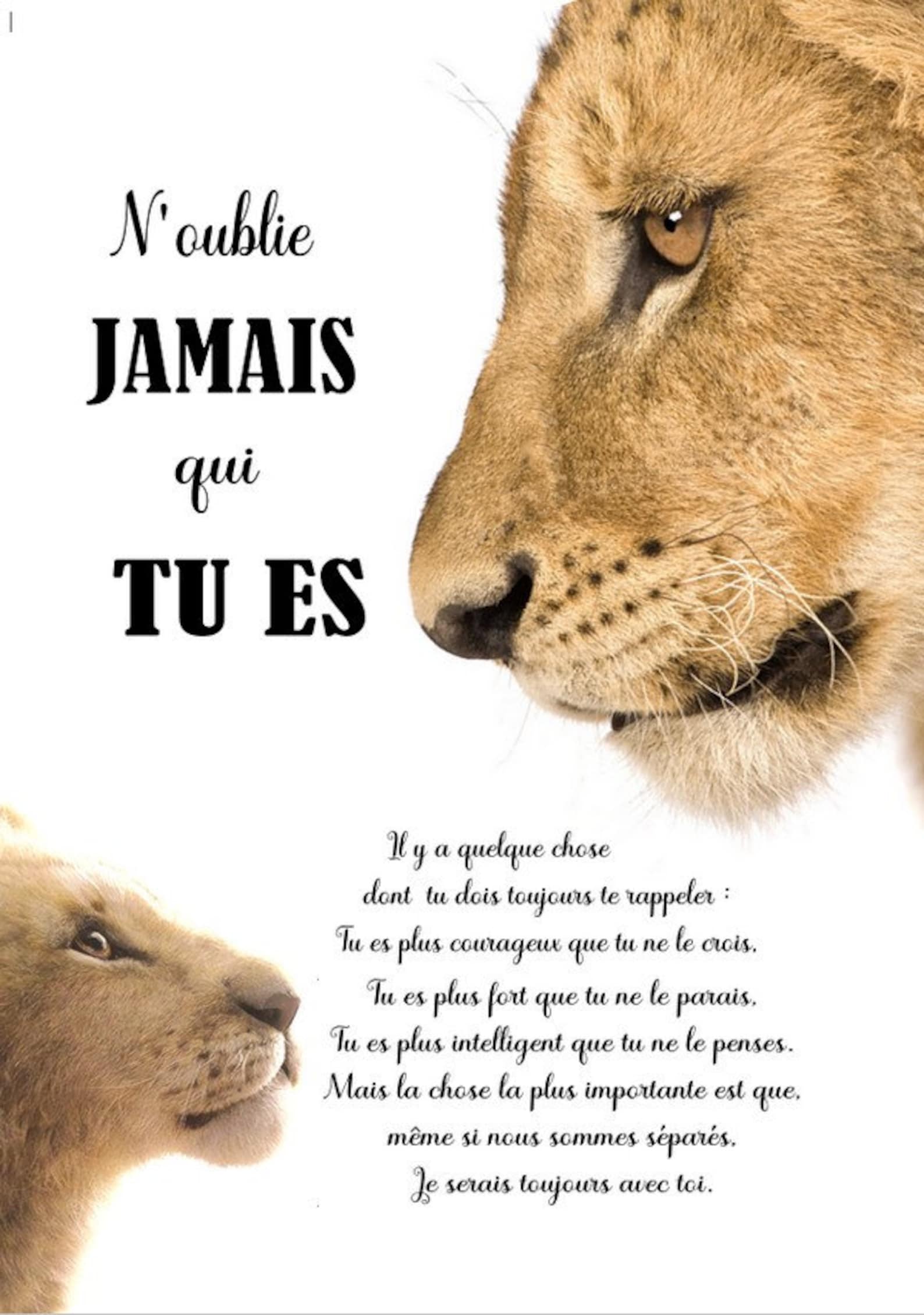 AFFICHE CITATION lionne film roi lion nala simba n