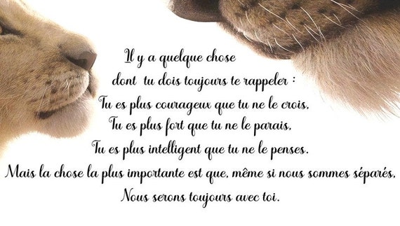 Affiche Citation Film Roi Lion Simba N Oublie Jamais Qui Etsy Osterreich