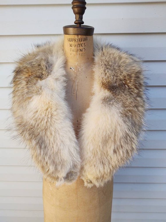 Coyote Fur Collar