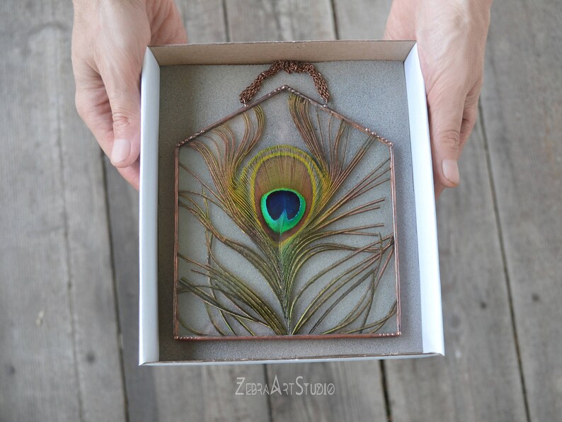 May include: A peacock feather encased in a copper frame, with a green, blue, and gold eye, displayed in a white box with the text "ZEBRA ART STUDIO".