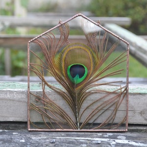 May include: A peacock feather encased in a copper framed glass house. The feather has a green eye with a black center and brown and gold markings.