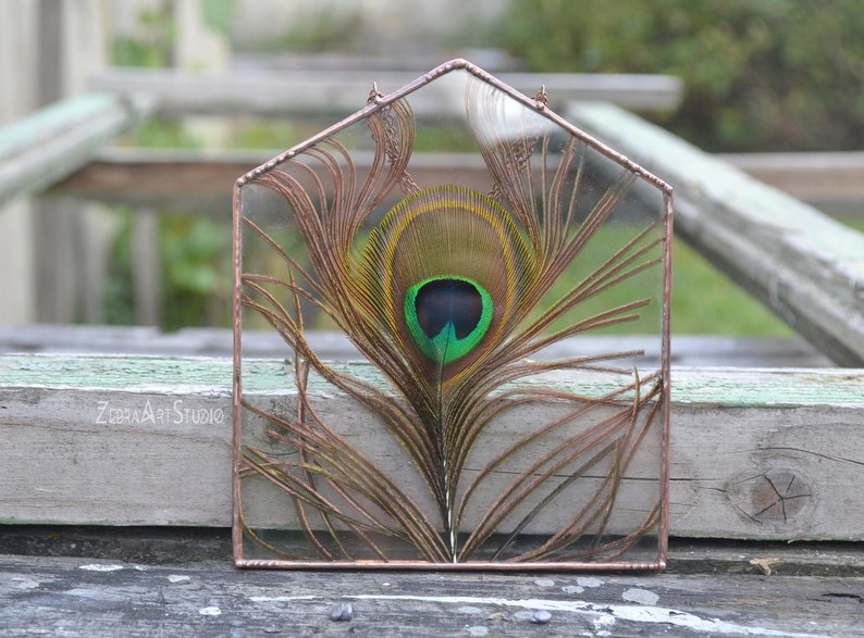 May include: A peacock feather encased in a copper framed glass house. The feather has a green eye with a black center and brown and gold markings.
