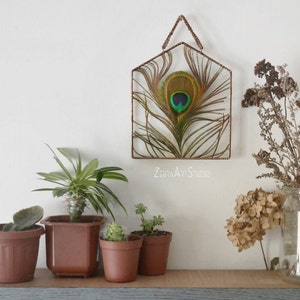 May include: A copper wire house-shaped frame with a preserved peacock feather inside. The frame is hanging on a white wall with plants and dried flowers in front of it. The text "ZEBRA ART STUDIO" is visible below the frame.