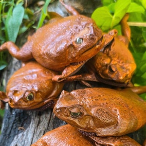 May include: Four brown leather frog purses with detailed stitching and textured leather. The purses are arranged on a wooden surface with green foliage in the background.