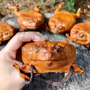 Echte Cane Toad Geldbörse Ganzkörper Normale Größe Leder Frosch Tasche: passend für Münzen, Würfel & mehr! Bufo marinus A + Überragende Qualität Einzigartiges Geschenk