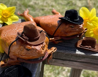 Rootin Tootin' Real Cane Toad purse with mini cowboy hat ~ full-body leather purse Rhinella marinus ethically sourced wearable coin pouch