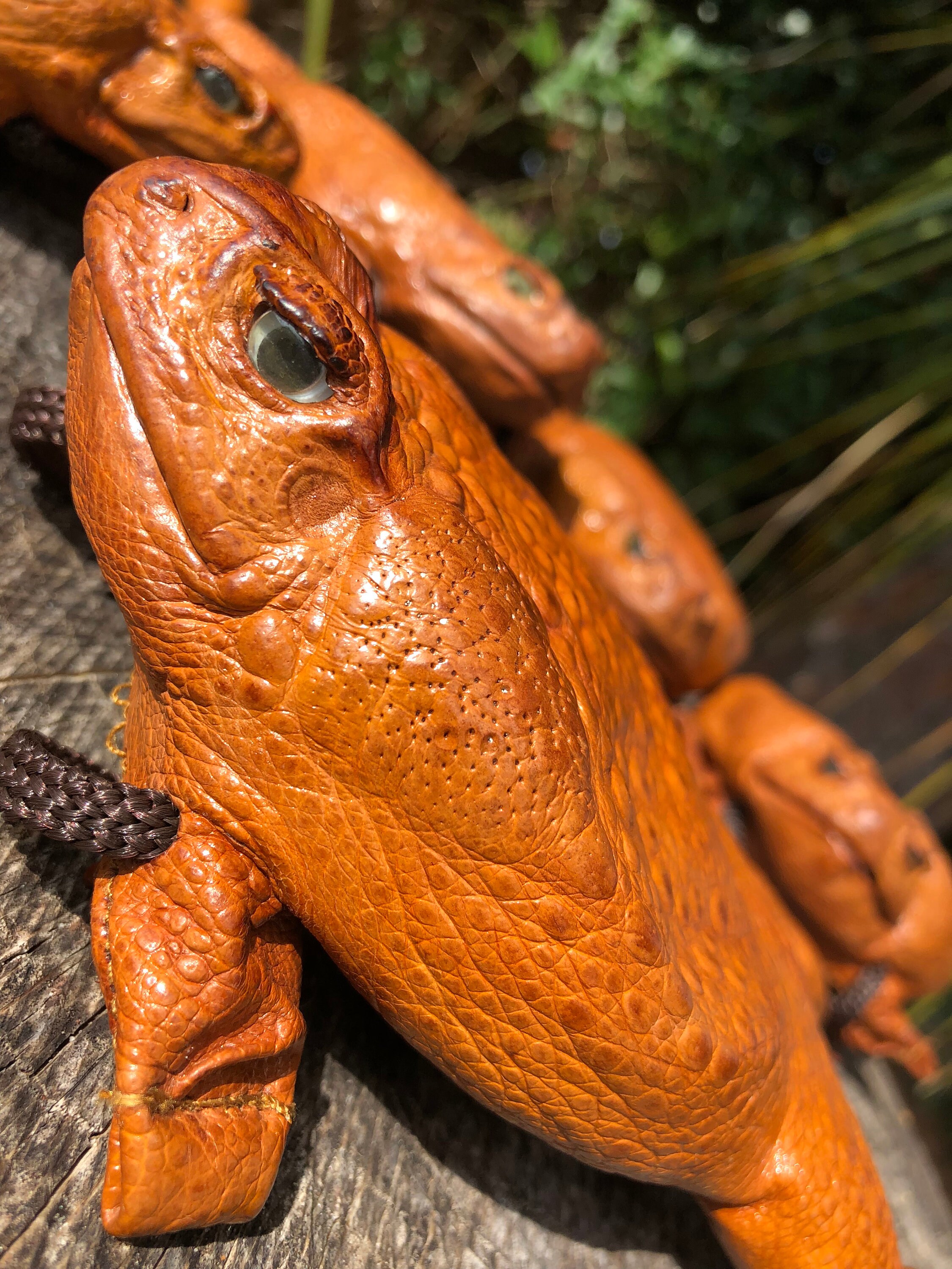 Real Sugar Cane Toad Fullbody Purse high Quality Leather Etsy