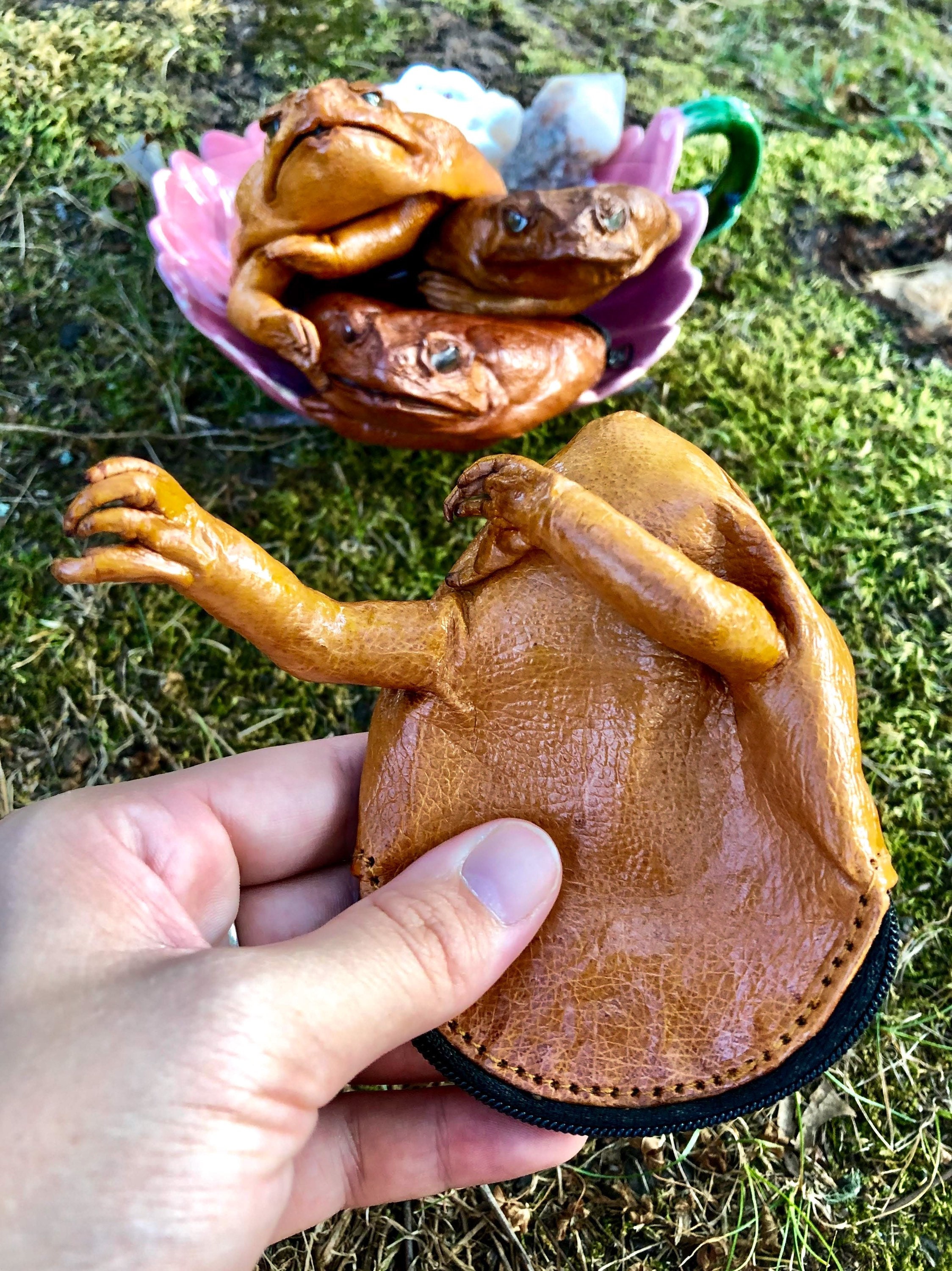 Taxidermy Cane Toad Purse Handmade Cane Sugar Realistic Toad Bag