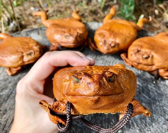 Real Sugar Cane Toad full-body coin purse *High Quality* leather Bufo marinus Rhinella marina witch cruelty-free coin purse wearable pouch