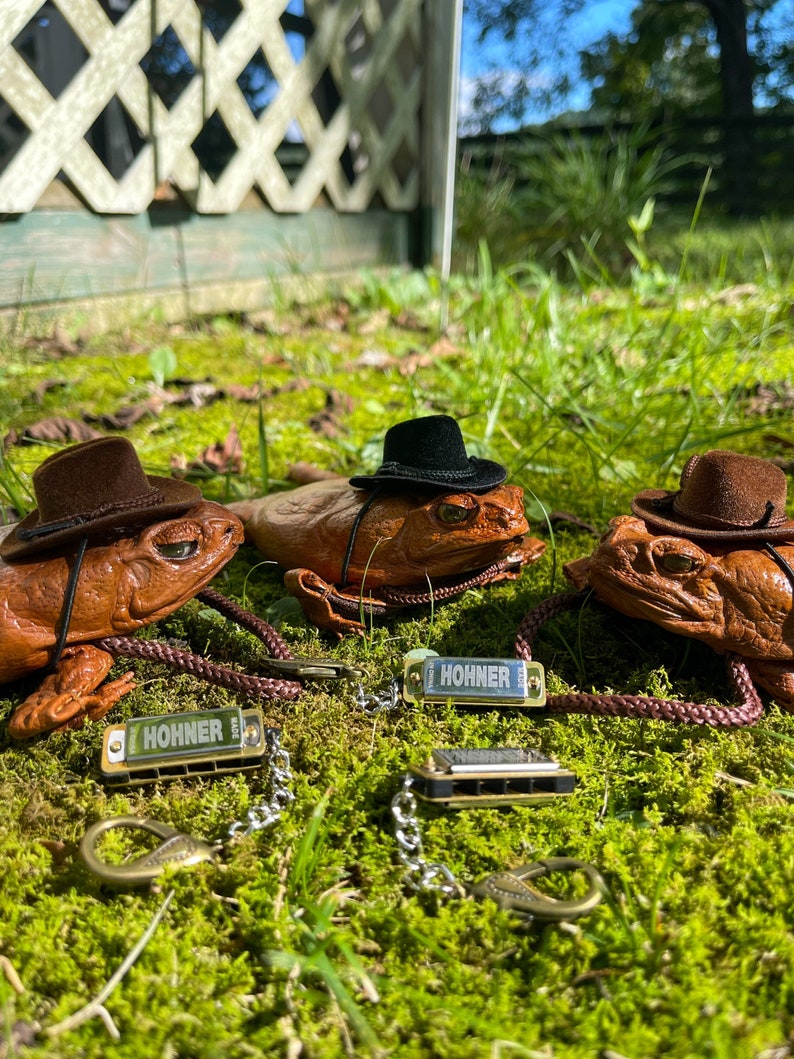May include: Three brown ceramic frogs wearing cowboy hats and holding harmonicas. The harmonicas are both labeled "HOHNER".