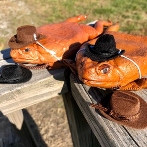 May include: Two brown and orange toads wearing cowboy hats. One toad is wearing a black cowboy hat and the other is wearing a brown cowboy hat. The toads are sitting on a wooden surface.