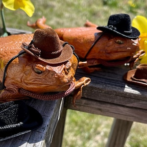 May include: Two brown toads wearing cowboy hats. One toad is wearing a brown hat with a black band, the other is wearing a black hat. The toads are sitting on a wooden surface.