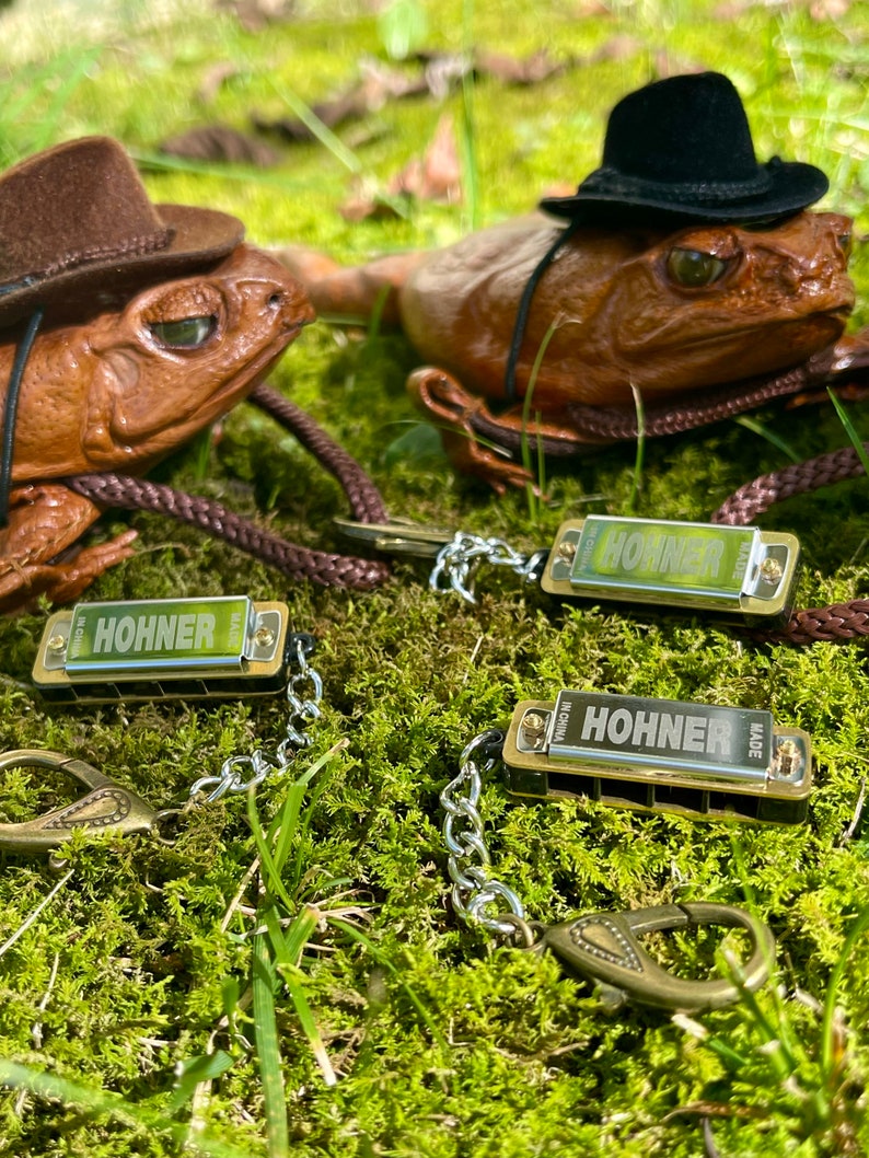 May include: Two brown ceramic frogs wearing hats and holding harmonicas on chains. The frogs are sitting on a bed of green moss. The harmonicas are both gold and silver and say "HOHNER" on them.