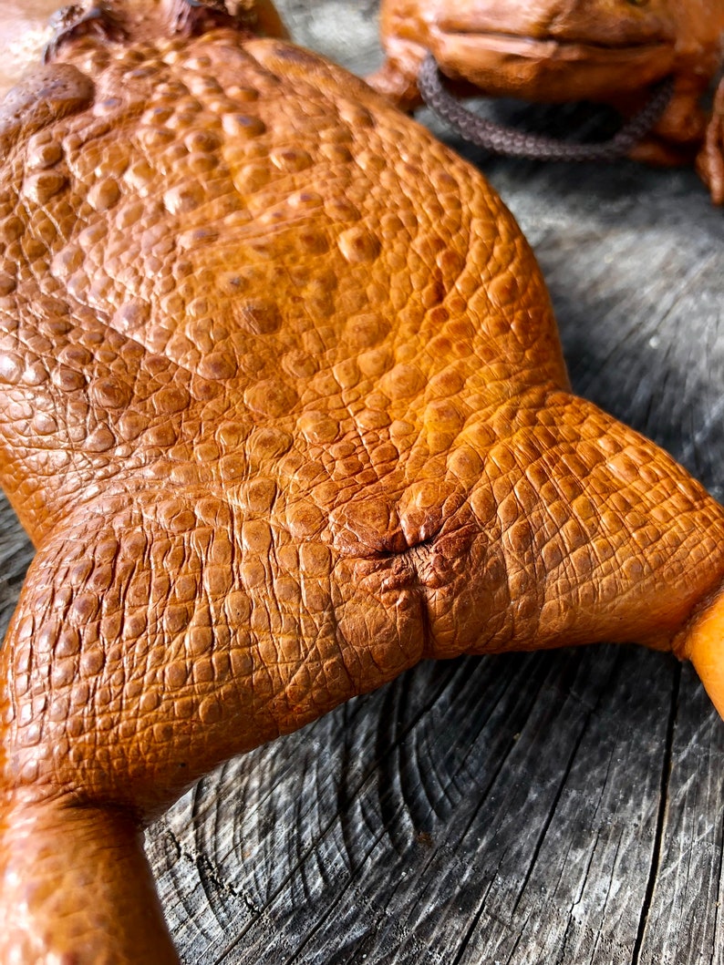 Real Sugar Cane Toad Fullbody Purse high Quality Leather Etsy