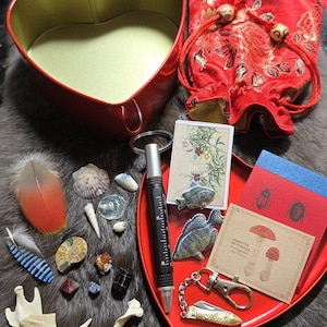 Valentine Oddity Mini Explorer Kits ~ Curio Collection with Field Notebook, tiny knife, matches, multi-tool pen, adventure set