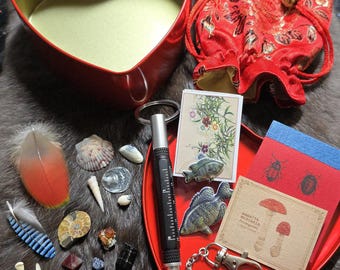 Valentine Oddity Mini Explorer Kits ~ Curio Collection with Field Notebook, tiny knife, matches, multi-tool pen, adventure set