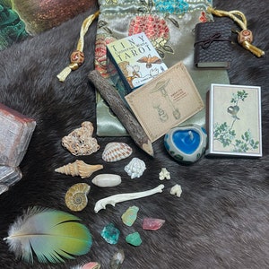 Witch’s Miniature Curio Kits oddity collection • Lotus green Midna blue • novelty ritual items ceremony spellwork tarot Wicca Pagan gifts