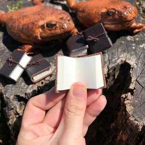 May include: Four small brown leather-bound journals with blank pages, one open and held in a hand, with two brown ceramic frog figurines in the background.