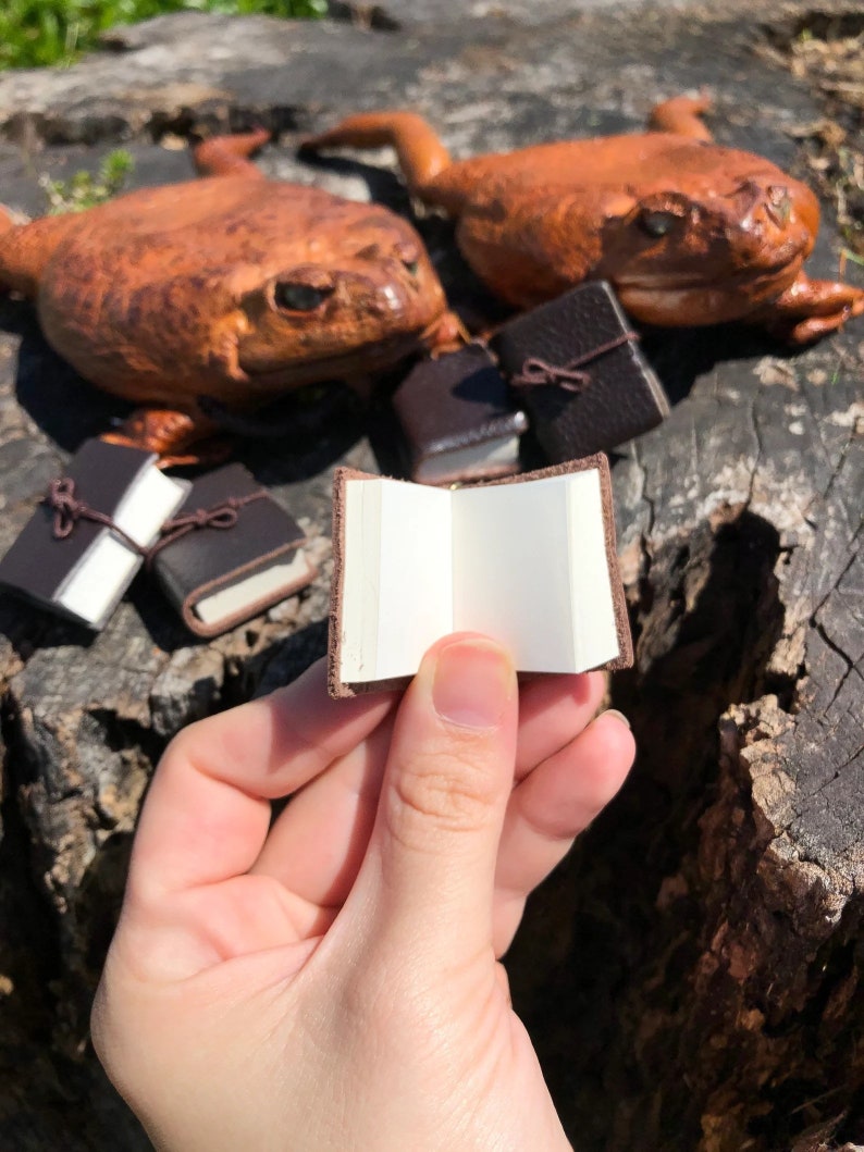 May include: Four small brown leather-bound journals with blank pages, one open and held in a hand, with two brown ceramic frog figurines in the background.
