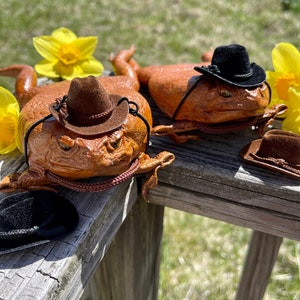 May include: Two brown toads wearing cowboy hats, one brown and one black, are lying on a wooden surface.  Yellow daffodils are in the background.