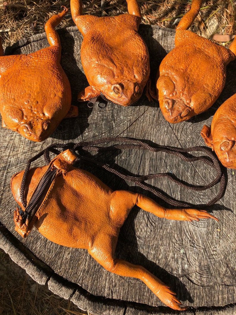 May include: Five brown leather frog purses with a zipper closure. The purses are arranged on a wooden surface.