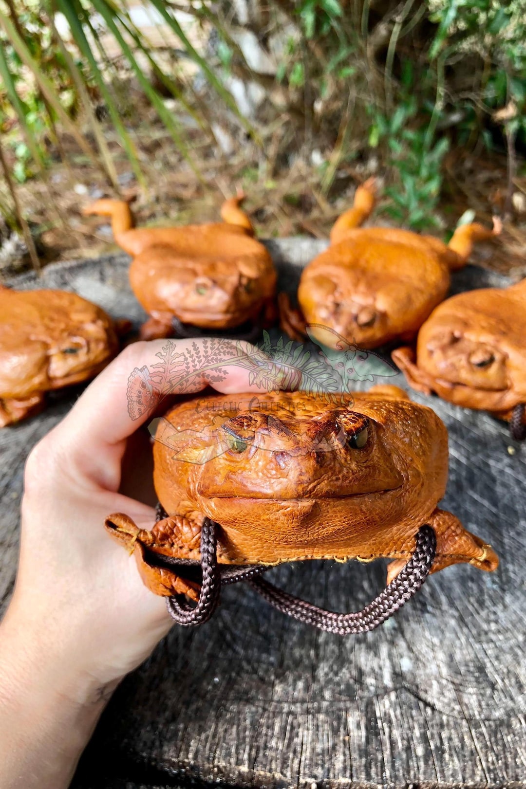 Real Cane Toad Purse Full Body Regular Size Leather Frog Bag: Fits Coins,  Dice More! Bufo Marinus A+ Superior Quality Unique Gift