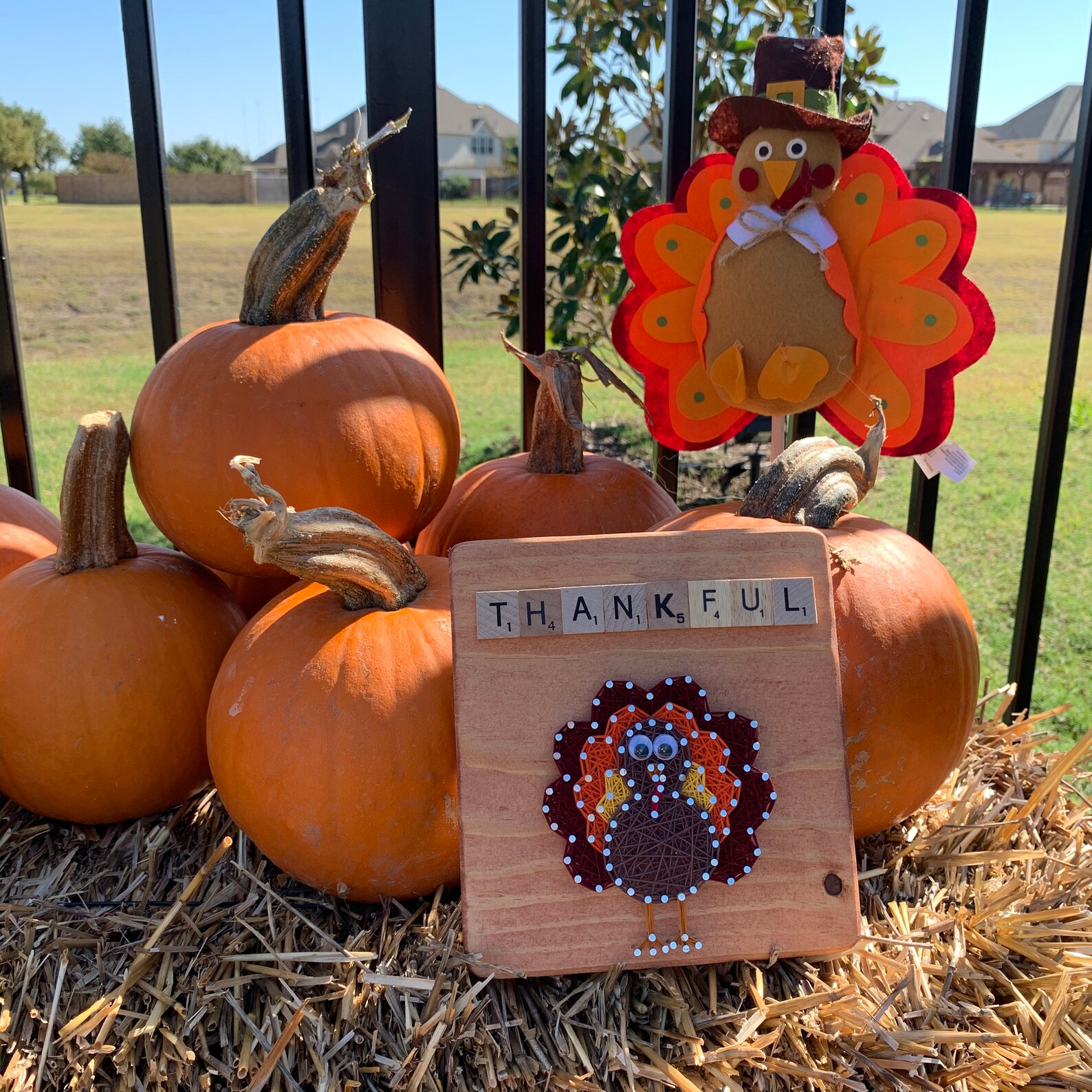 Thanksgiving Decor Turkey Sign Tom the Turkey String Art - Etsy