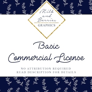 Basis commerciële licentie, licentie voor zakelijk gebruik; geen krediet, tot 500 verkopen