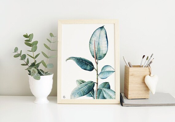 Ficus Vase Screenprint Art Ficus Vase Screenprint Art