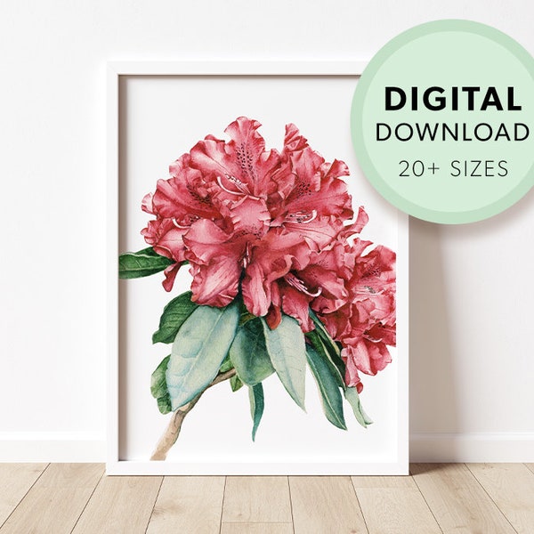 Rhododendron Watercolor Print - Home Wall Decor  - Red Flower  - Flower Wall Art - Home Wall Decor - Floral Illustration