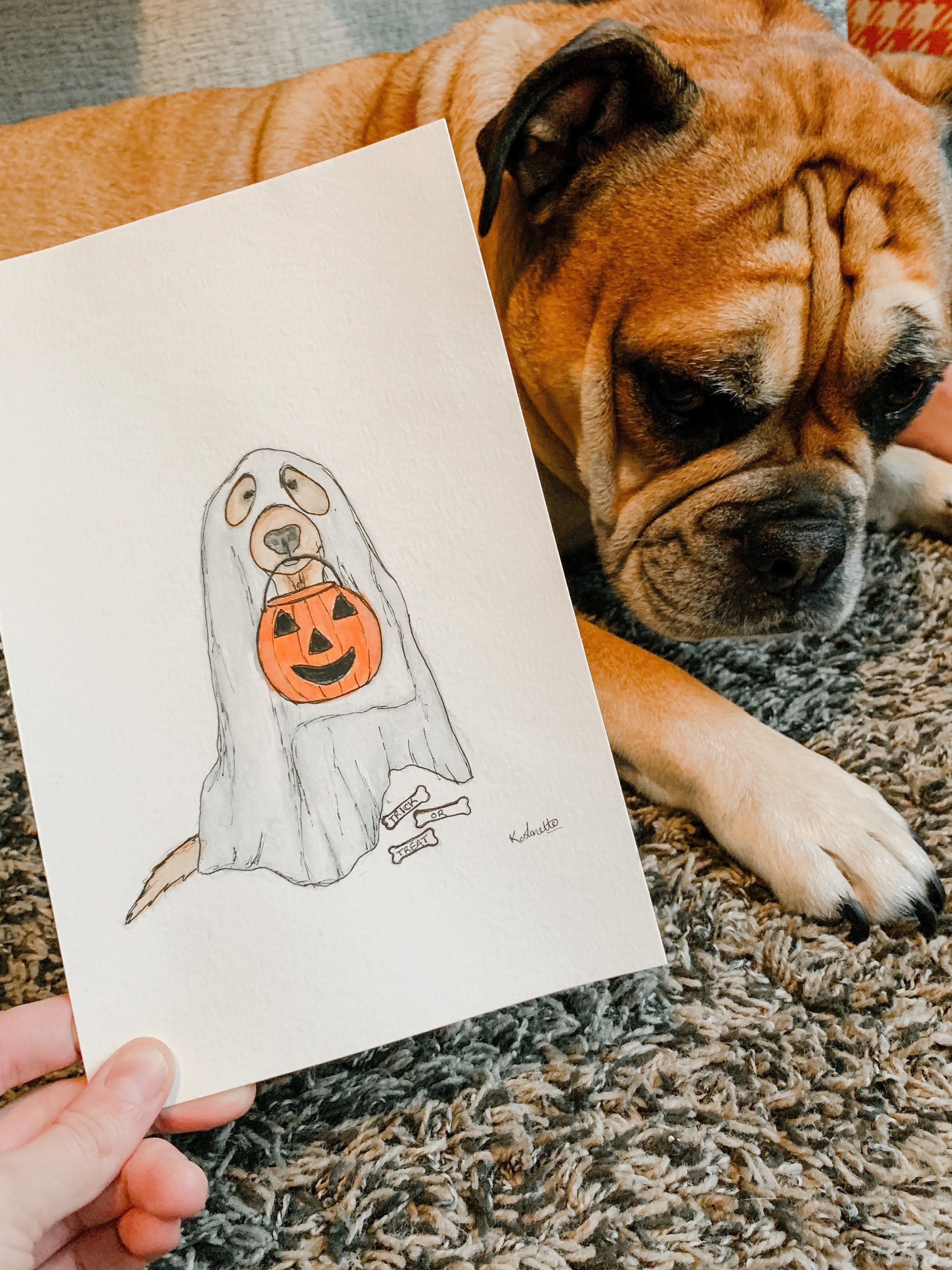 Halloween Ghost Dog Print/Dog Costume/Fall Home Decor/Fall Etsy