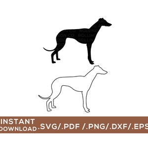 Levriero Clipart/File di taglio digitale/svg, png, dxf, pdf, eps