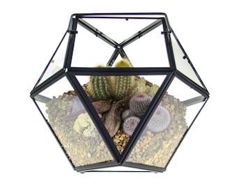 Large Cactus Terrarium Kit, Geometric Design in Metal and Glass featuring Living Cacti | Home Accessory Gift Ideas