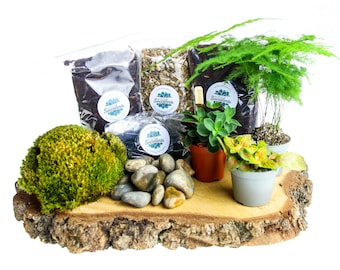 May include: A terrarium kit with a wooden base, moss, rocks, soil, and three small plants in pots. The plants include a succulent, a fern, and a leafy plant. The kit includes everything needed to create a small indoor garden.