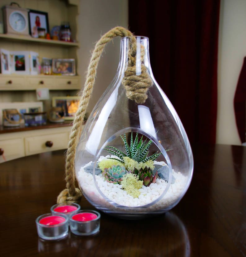 Teardrop Terrarium Kit Glass and Chunky Rope Design With 3 Etsy UK