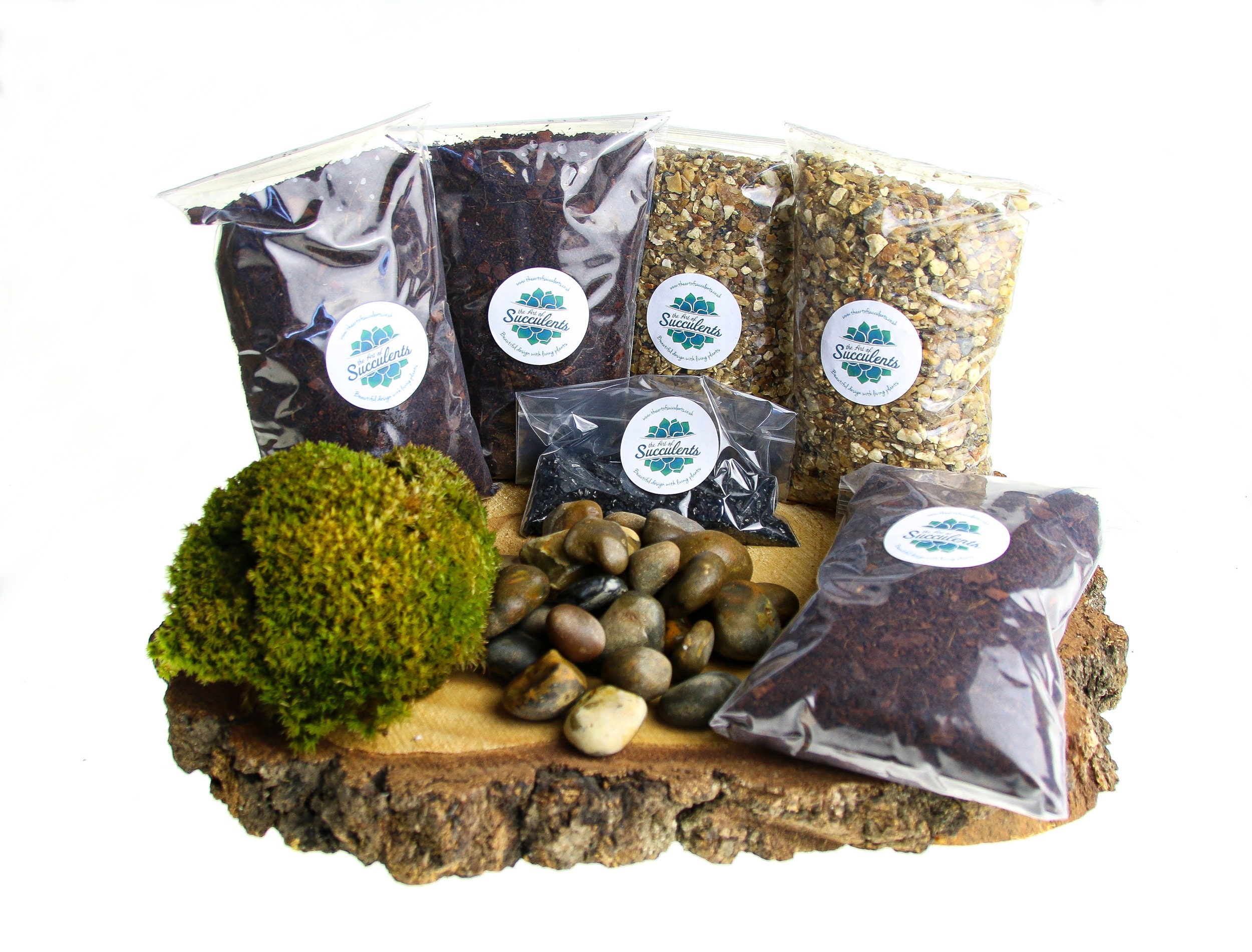 Large Closed Terrarium Starter Kit With Living Cushion Moss Etsy UK