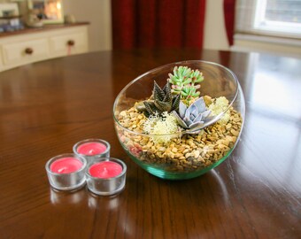 May include: A clear glass bowl filled with small stones and a variety of succulents. Three pink tea lights are on the table next to the bowl.