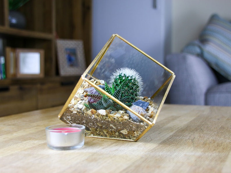 Brass Cube Geo Terrarium with Cactus and Succulent Mix Three Etsy